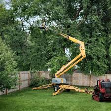 Best Emergency Tree Removal  in Mission Nyon, CA